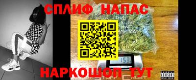 дмт Новозыбков