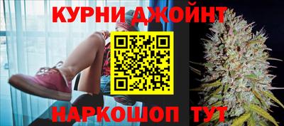 дмт Новозыбков