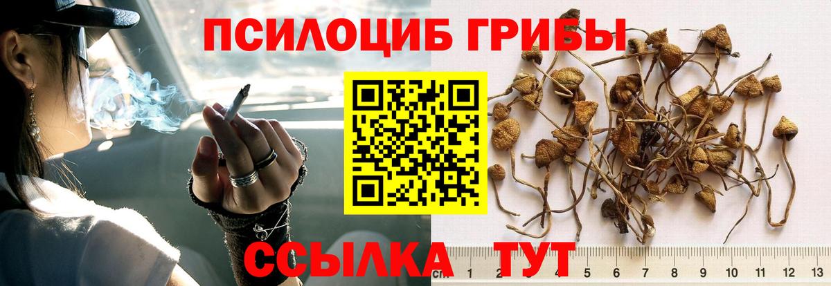 Псилоцибиновые грибы ЛСД Озёры